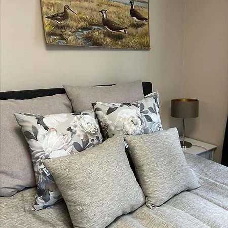 Taivaanvuohi فيلة Poytya