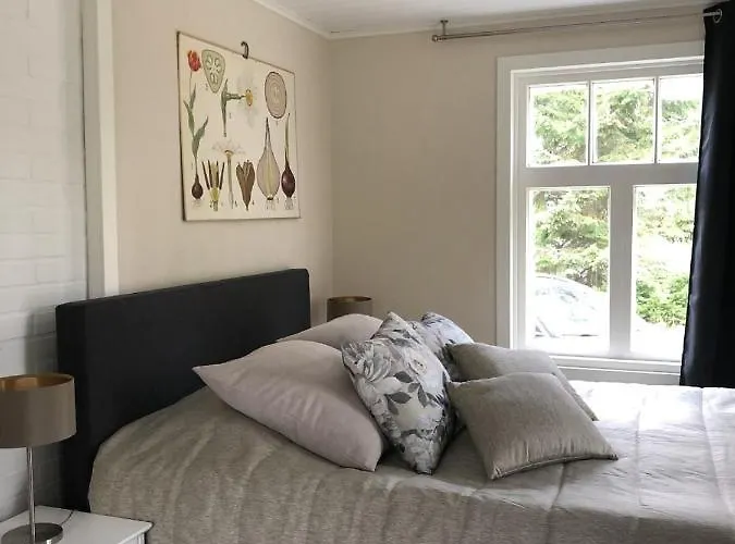 别墅 Taivaanvuohi *