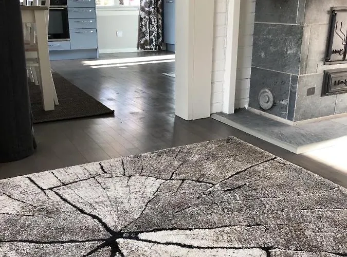 Taivaanvuohi 别墅 *