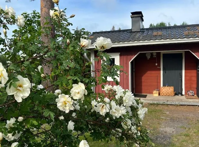 别墅 Taivaanvuohi Poytya