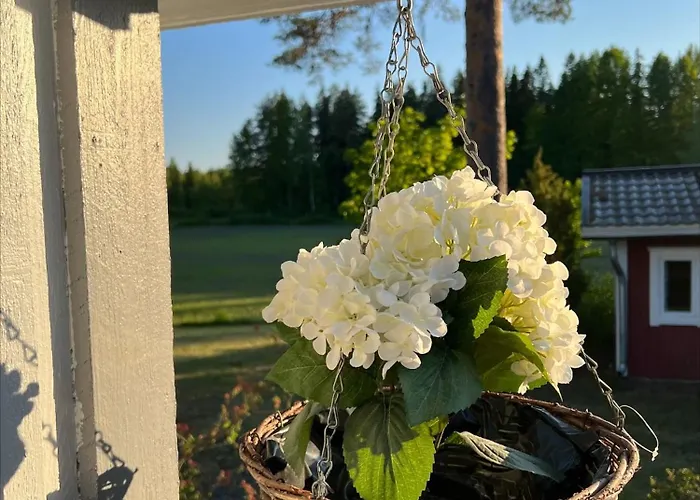 别墅 Taivaanvuohi *