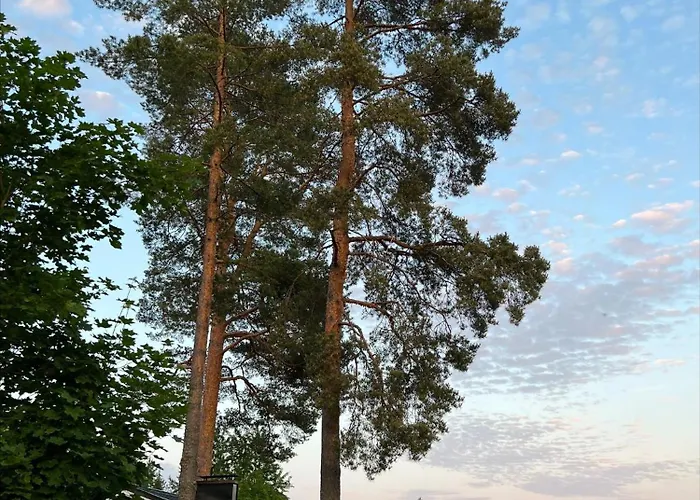 别墅 Taivaanvuohi *